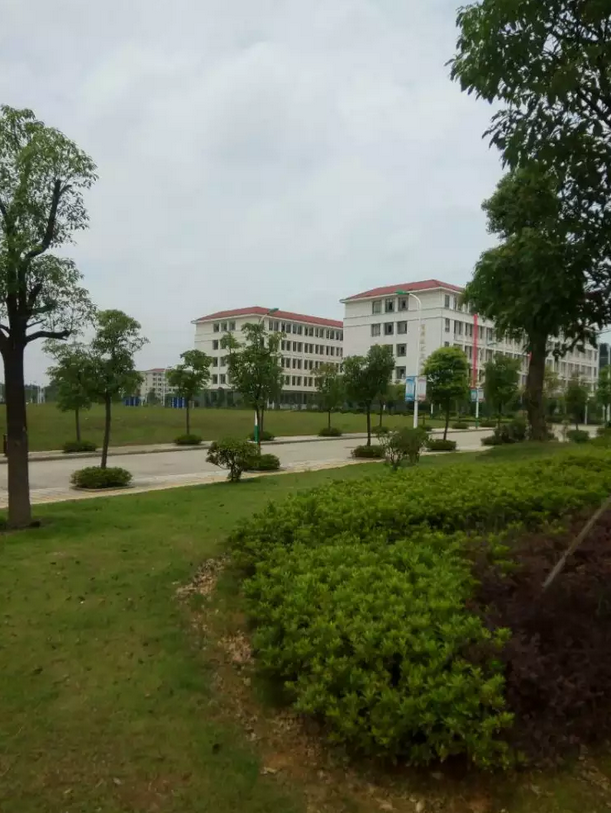 2017年考不上高中读什么学校好?